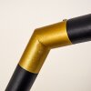 Kongakut Bogenlampe Gold, Schwarz, 1-flammig