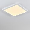 Siguna LED Panel Weiß, 1-flammig
