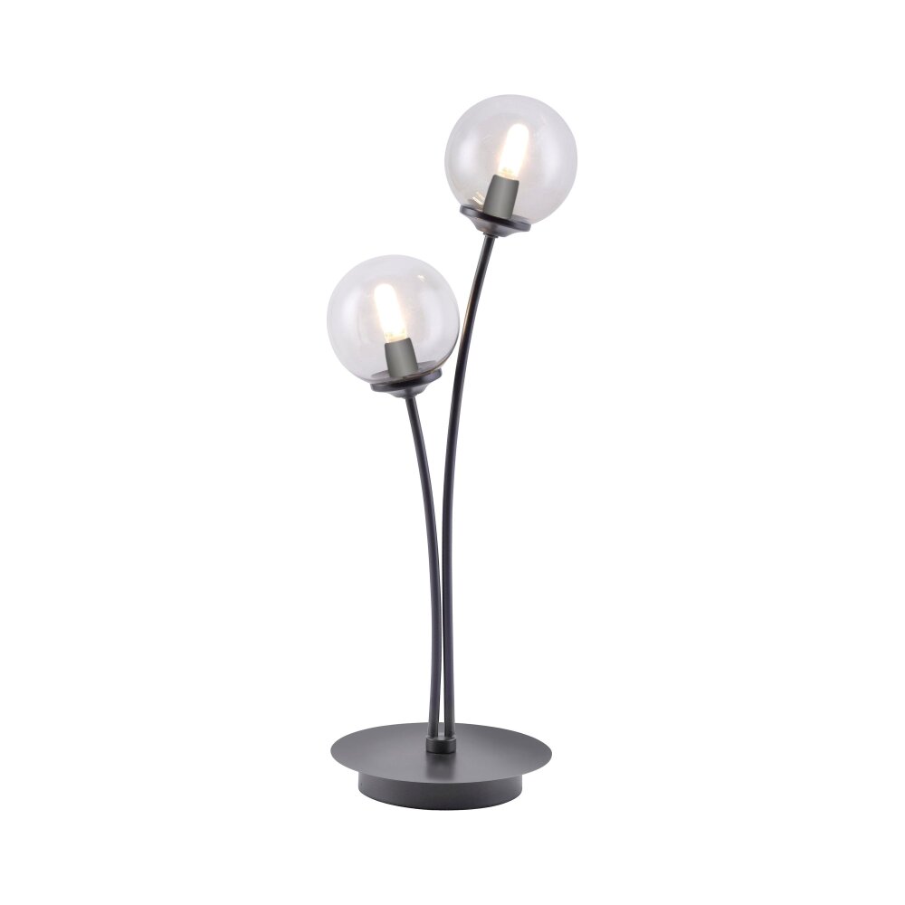 Paul Neuhaus WIDOW Tischleuchte LED Nickel-Matt, Schwarz, 2-flammig main product photo