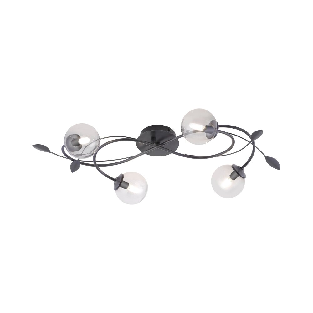 Paul Neuhaus WIDOW Deckenleuchte LED Schwarz, 4-flammig main product photo