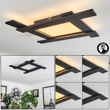 Cuchara Deckenleuchte LED Schwarz, 5-flammig