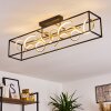 Pericos Deckenleuchte LED Gold, Schwarz, 4-flammig