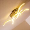 Mapleton Deckenleuchte LED Nickel-Matt, 4-flammig
