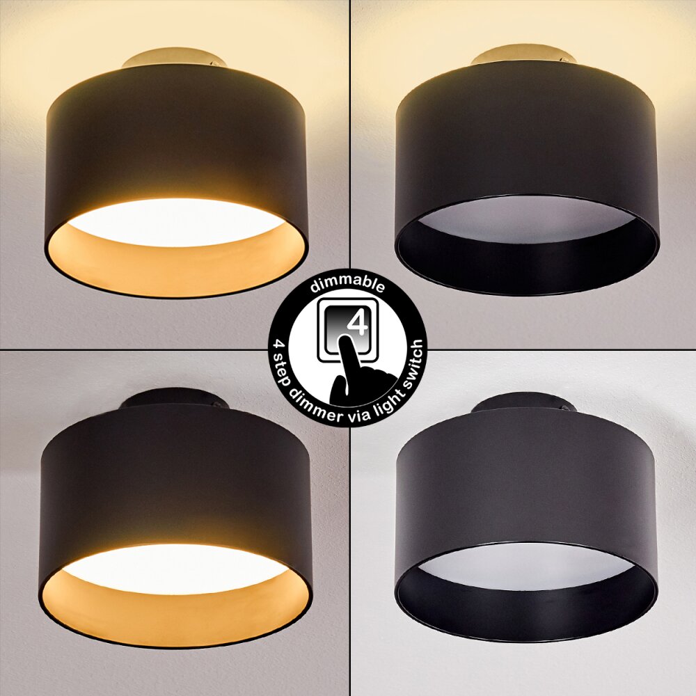 Baraboo Deckenleuchte LED Schwarz, 1-flammig