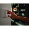 Philips Hue White Ambiance Runner Wandspot Basis LED Schwarz, 1-flammig