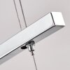 Balcairn Pendelleuchte LED Chrom, 4-flammig