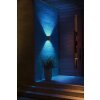 Philips Hue White & Color Ambiance Resonate Wandleuchte schwarz LED Schwarz, 2-flammig