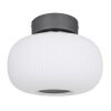 Globo BOOMER Deckenleuchte LED Anthrazit, Nickel-Matt, 1-flammig