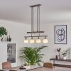 Warga Pendelleuchte LED Nickel-Matt, 4-flammig