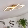 Batuna Deckenleuchte LED Nickel-Matt, 1-flammig