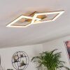 Batuna Deckenleuchte LED Nickel-Matt, 1-flammig