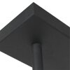 Steinhauer Racky Pendelleuchte Schwarz, 5-flammig