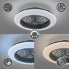 Reality Stralsund Deckenventilator LED Schwarz, 1-flammig, Fernbedienung