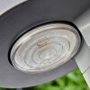 Portmore Solarleuchte LED Grau, 1-flammig