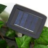 Pozzuoli Solar-Lichterkette LED Schwarz, Weiß, 10-flammig