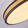 Kirtland Deckenpanel LED Gold, Schwarz, 1-flammig