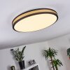 Kirtland Deckenpanel LED Gold, Schwarz, 1-flammig