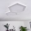 Fanebal Deckenpanel LED, 1-flammig