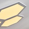 Fanebal Deckenpanel LED, 1-flammig