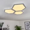 Fanebal Deckenpanel LED, 1-flammig