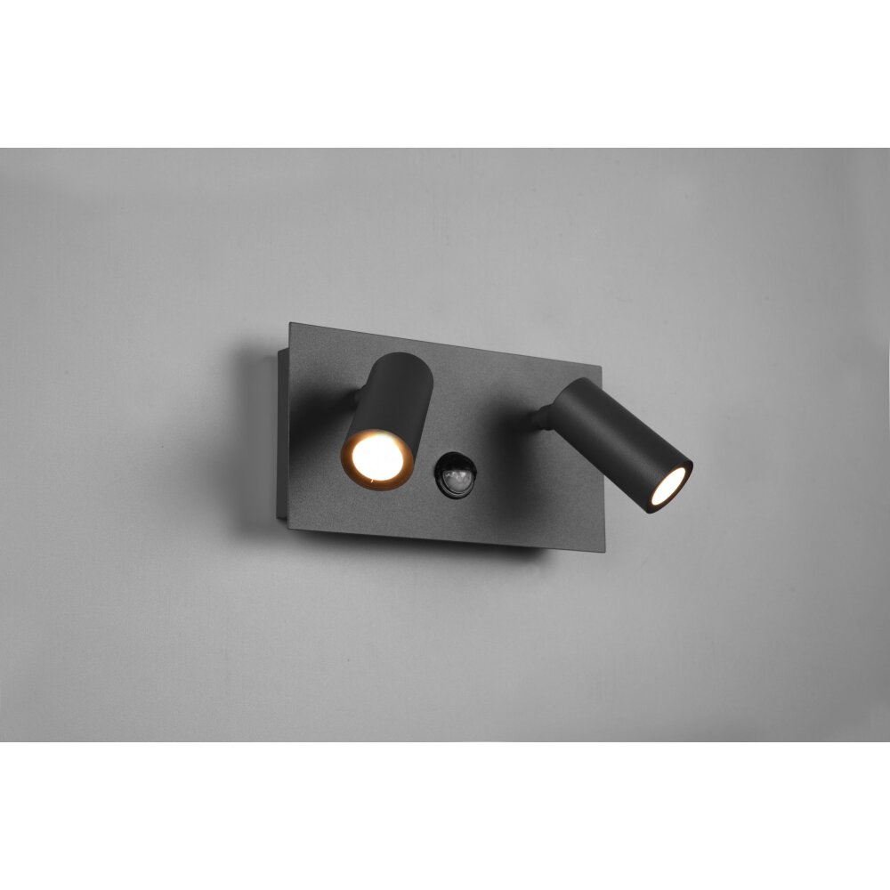 Trio Tunga Außenwandleuchte LED Anthrazit, 2-flammig, Bewegungsmelder main product photo