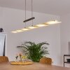 Hogana Pendelleuchte LED Nickel-Matt, 1-flammig