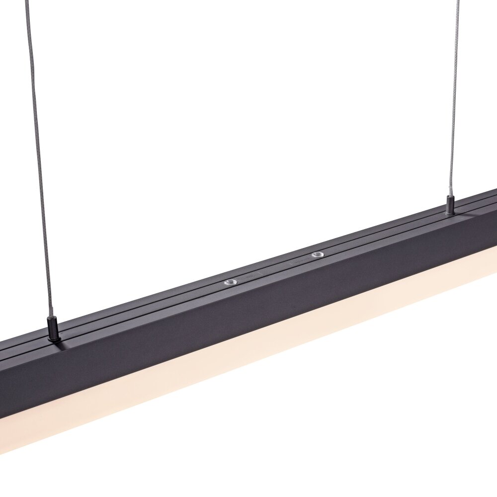 Paul Neuhaus SINA Pendelleuchte LED Schwarz, 3-flammig