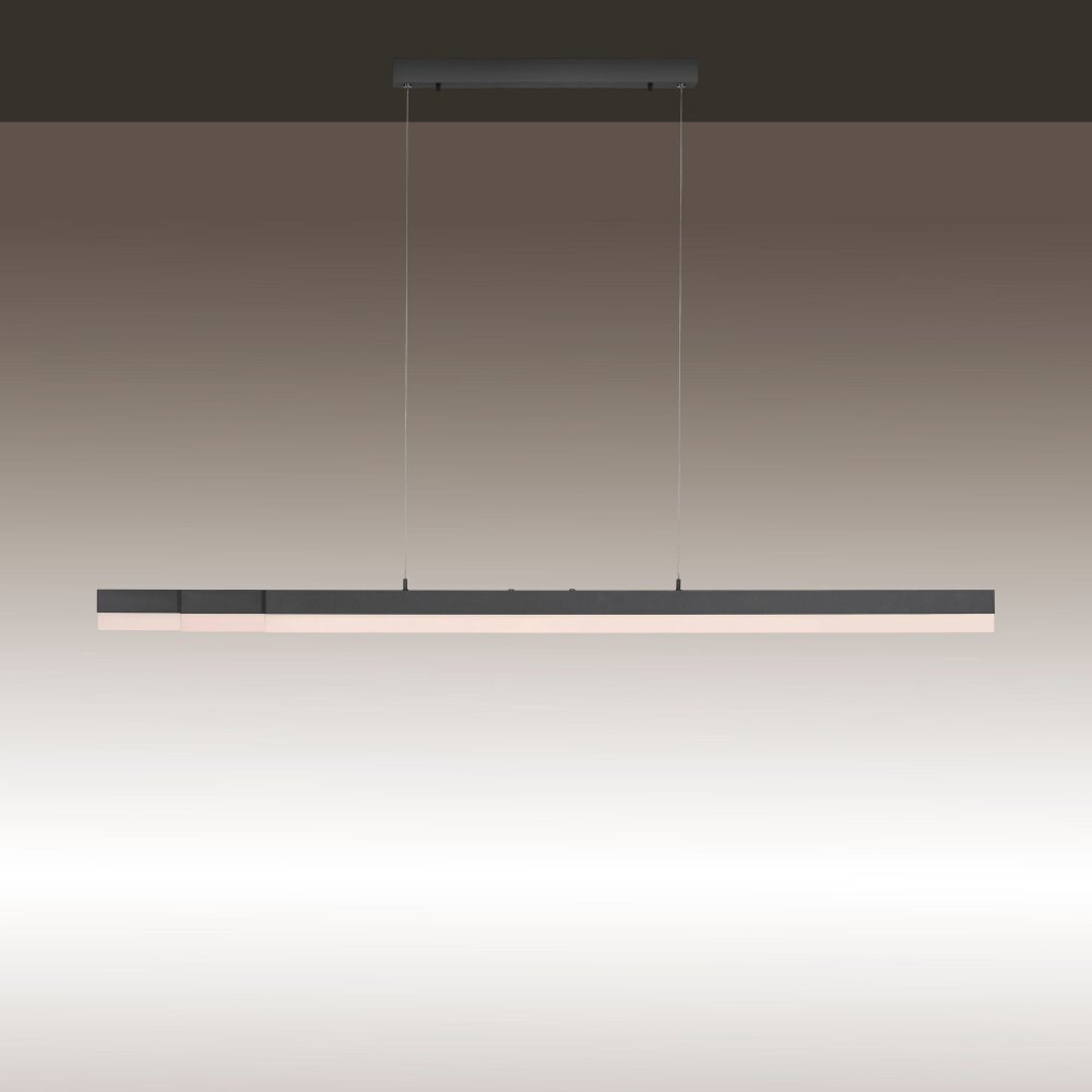 Paul Neuhaus SINA Pendelleuchte LED Schwarz, 3-flammig