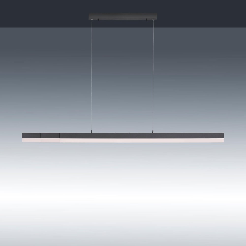 Paul Neuhaus SINA Pendelleuchte LED Schwarz, 3-flammig