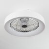 Moli Deckenventilator LED Weiß, 1-flammig, Fernbedienung