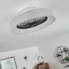 Moli Deckenventilator LED Grau, Weiß, 1-flammig, Fernbedienung