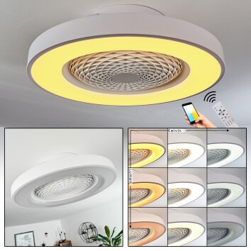 Penon Deckenventilator LED Weiß, 1-flammig, Fernbedienung