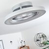 Penon Deckenventilator LED Silber, 1-flammig, Fernbedienung