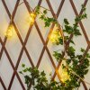 Trygsland Solar-Lichterkette LED Gold, Klar, 10-flammig