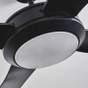 Tjerne Deckenventilator LED Schwarz, 1-flammig