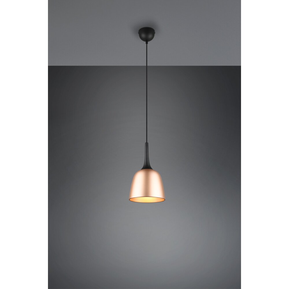 Trio Leuchten Chiron Pendelleuchte Messing, 1-flammig main product photo