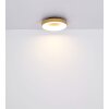 Globo JOLLI Deckenleuchte LED Holzoptik, 1-flammig, Fernbedienung