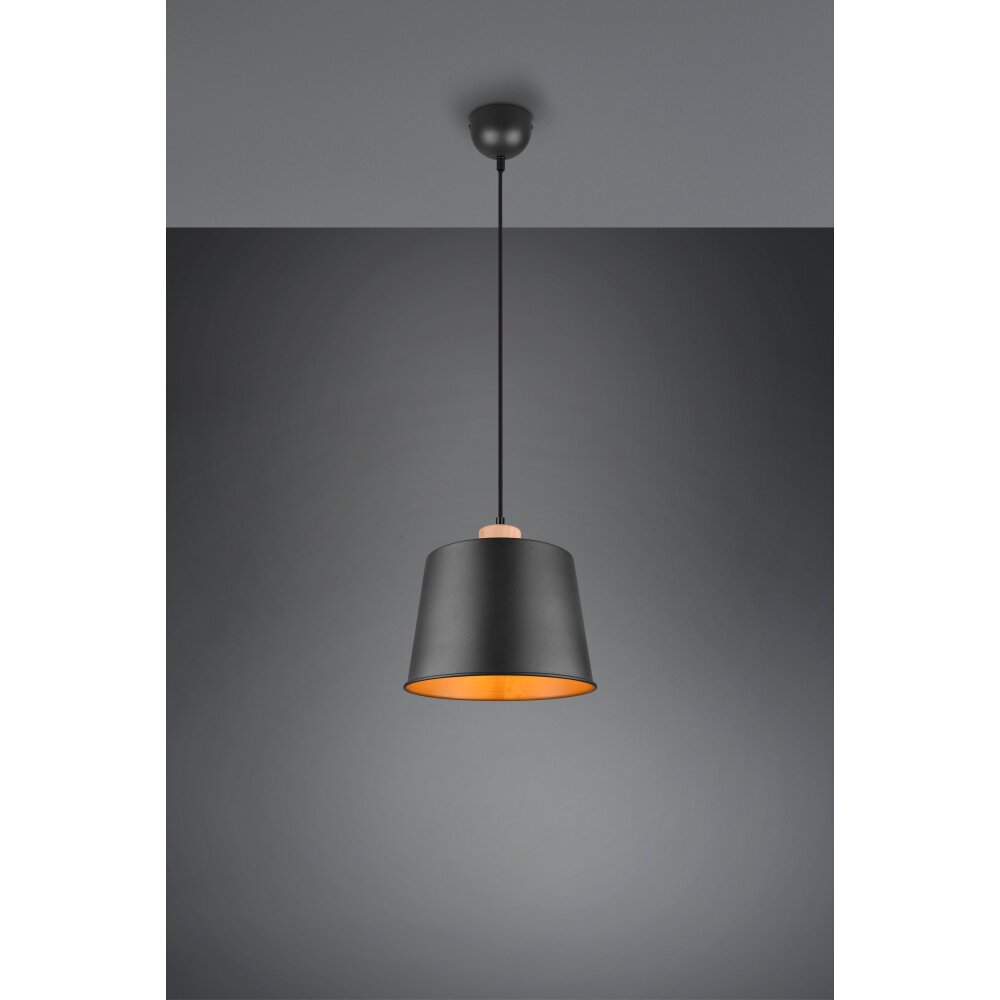 Trio Leuchten Harris Pendelleuchte Schwarz, 1-flammig main product photo