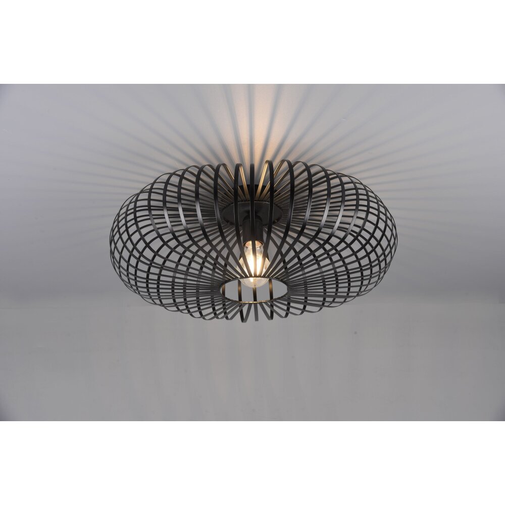 Trio Leuchten Johann Deckenleuchte Schwarz, 1-flammig main product photo