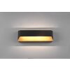 Trio Leuchten Arino Wandleuchte LED Schwarz, 1-flammig