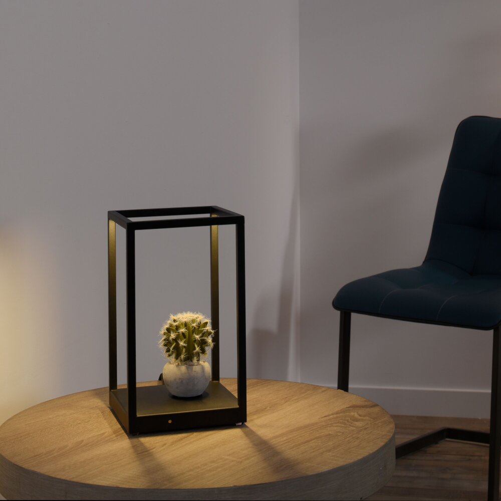 Paul Neuhaus CONTURA Tischleuchte LED Schwarz, 2-flammig main product photo