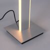 Paul Neuhaus Q-ADRIANA Stehleuchte LED Aluminium, 2-flammig, Fernbedienung