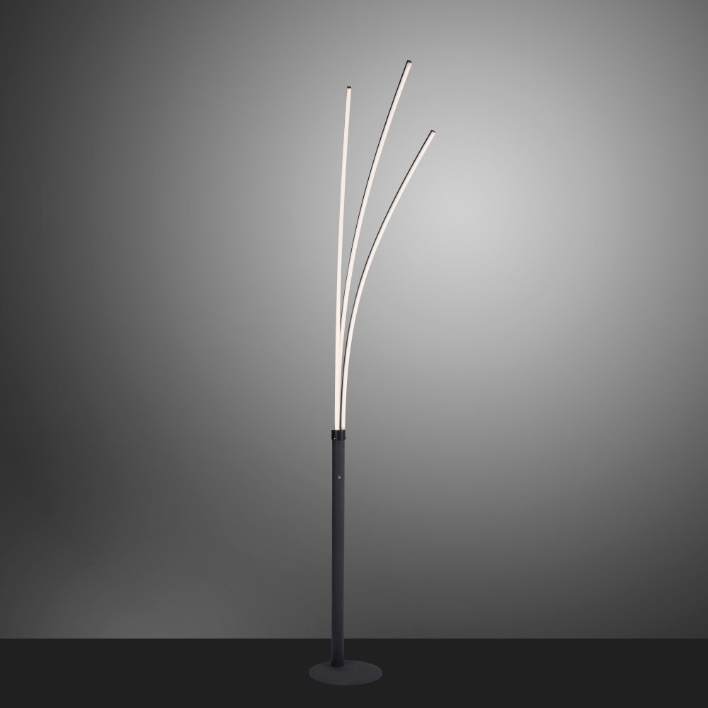 Leuchten Direkt MAJA Stehleuchte LED Schwarz, 1-flammig main product photo