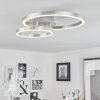 Sorte   Deckenleuchte LED Nickel-Matt, 1-flammig