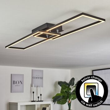 Hyacinthe   Deckenleuchte LED Chrom, Schwarz, 1-flammig