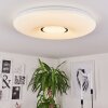 Page Deckenleuchte LED, 2-flammig, Fernbedienung, Farbwechsler