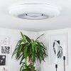 Page Deckenleuchte LED, 2-flammig, Fernbedienung, Farbwechsler