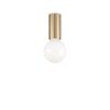 Ideallux PETIT Deckenleuchte Messing, 1-flammig
