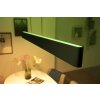 Philips Hue White & Color Ambiance Ensis Pendelleuchte LED Schwarz, 2-flammig, Farbwechsler