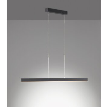 SCHÖNER WOHNEN-Kollektion Pendelleuchte Straight LED Schwarz 860023 | lampe